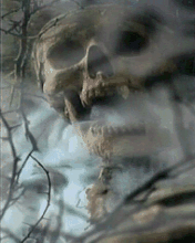 pic for Grave Yard